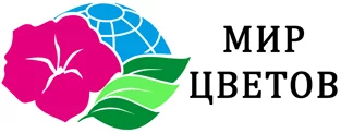 Интернет-магазин Интернет-магазин
